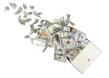 Image of Dollar banknotes flying out from purse on white background