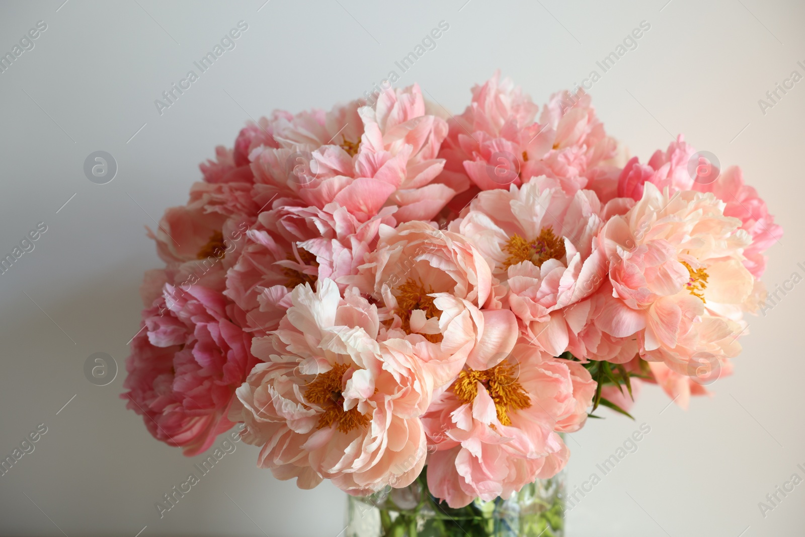 Photo of Beautiful pink peonies in vase near white wall