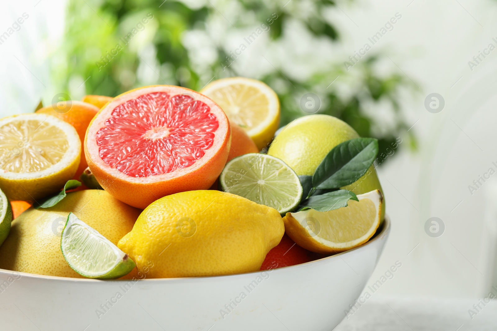 Photo of Different fresh citrus fruits and leaves in bowl against blurred background, closeup