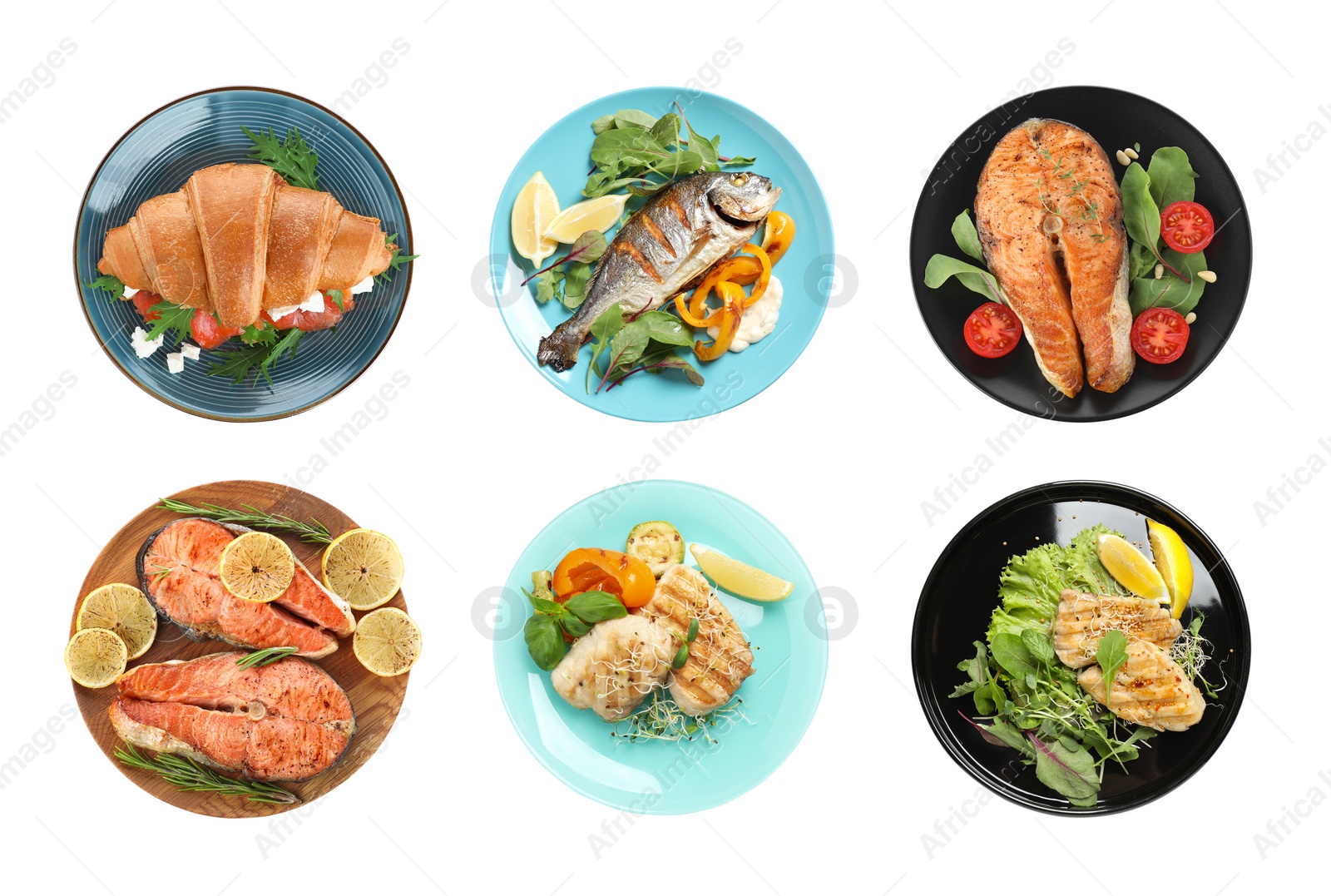 Image of Set with delicious freshly cooked fish dishes on white background, top view