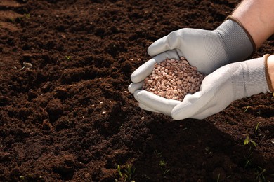 Man holding granulated fertilizer over soil on sunny day, closeup. Space for text