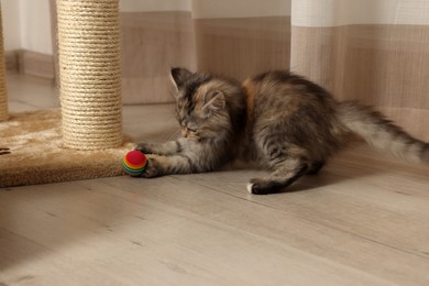 Cute fluffy kitten playing with ball at home