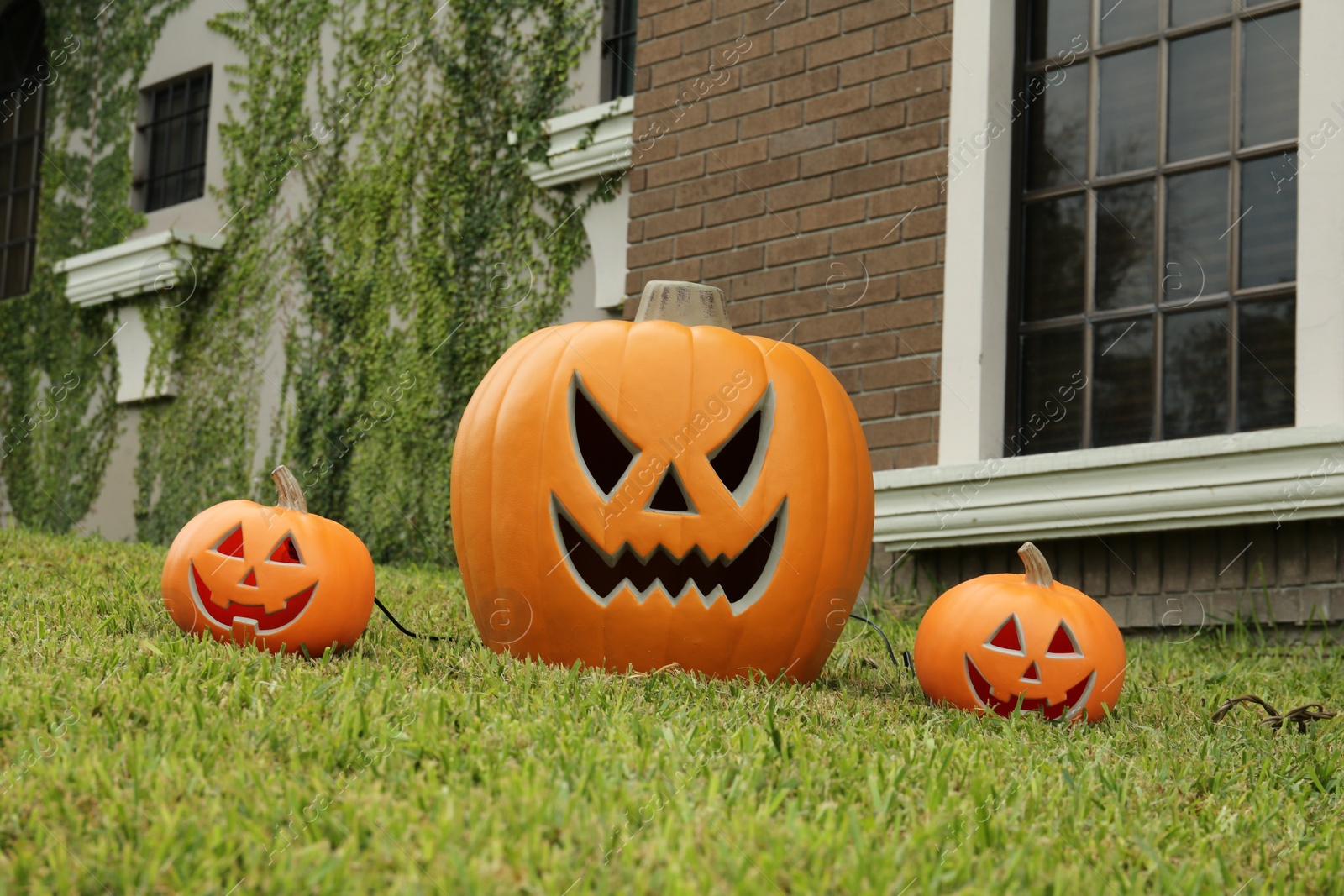 Photo of Ceramic Jack O'Lanterns on front lawn of house. Traditional Halloween decor