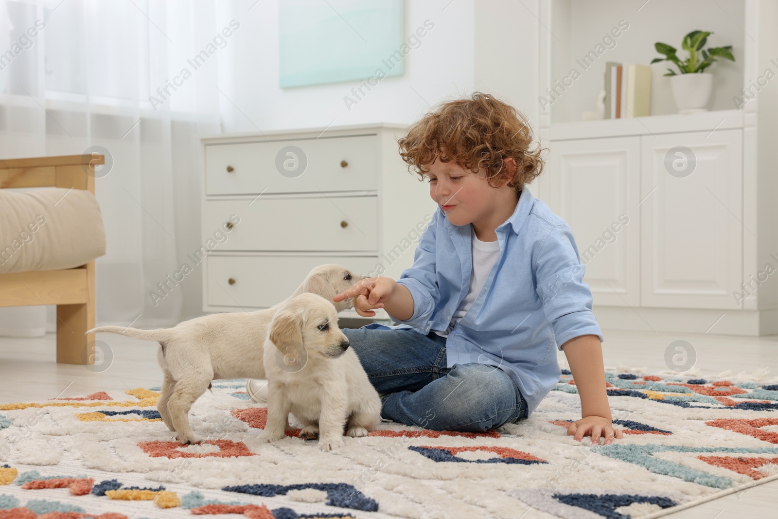 Photo of Little boy with cute puppies on carpet at home