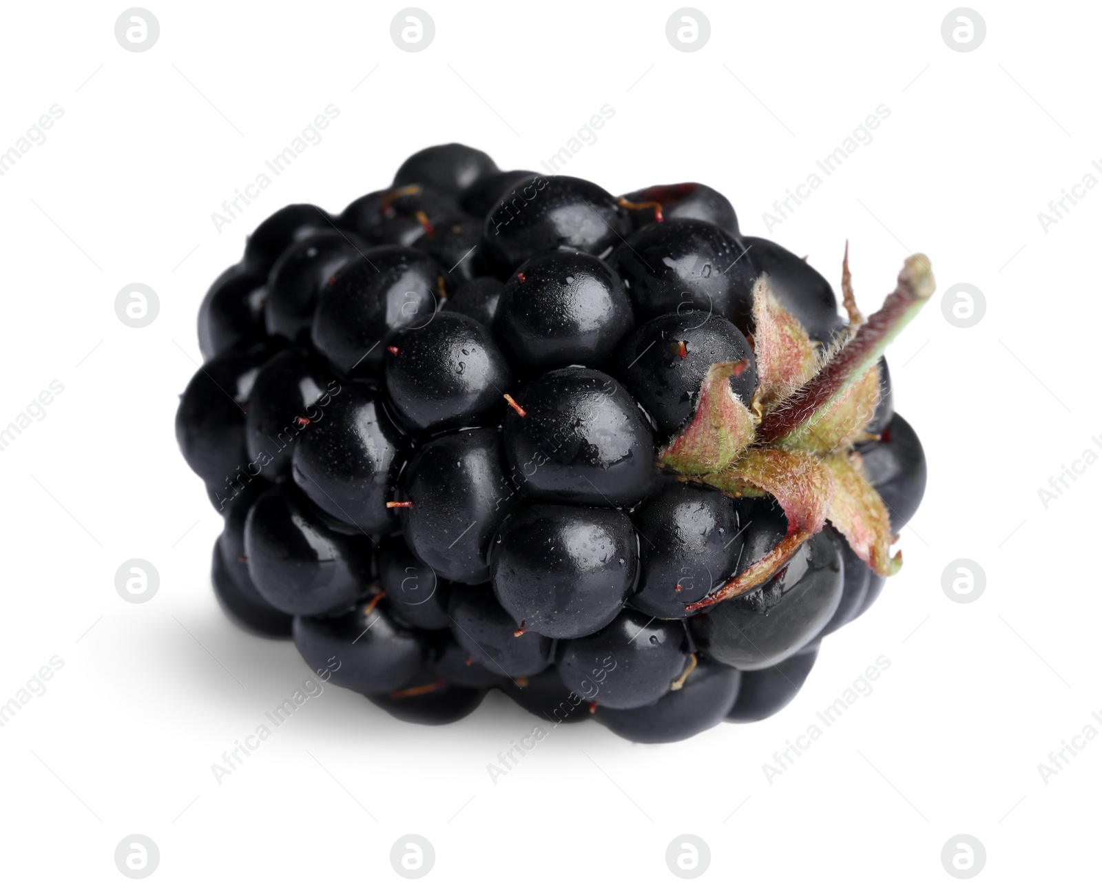 Photo of One tasty ripe blackberry isolated on white