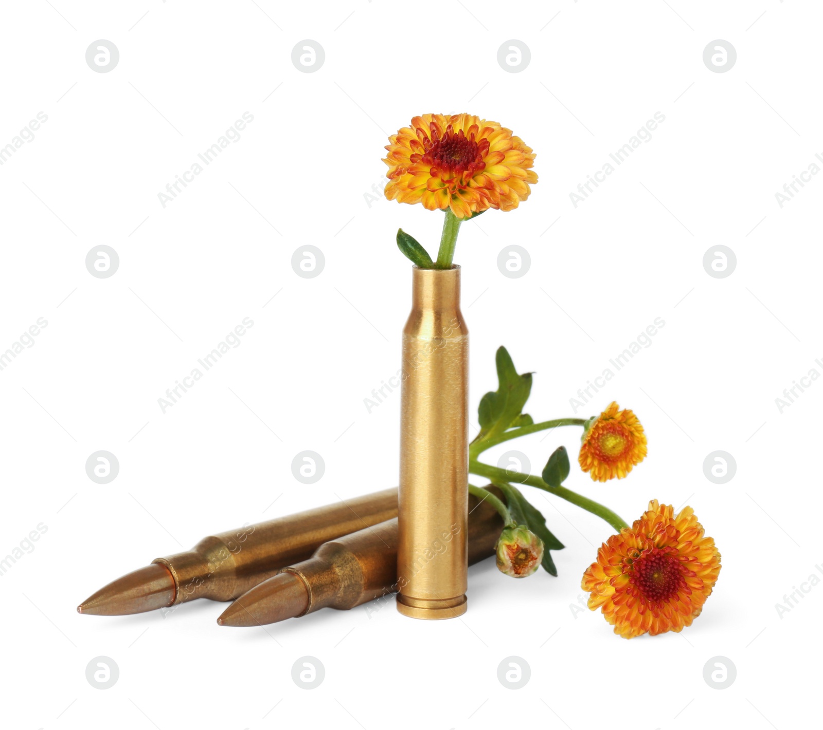 Photo of Bullets and beautiful flowers isolated on white