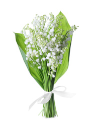 Beautiful lily of the valley flowers isolated on white