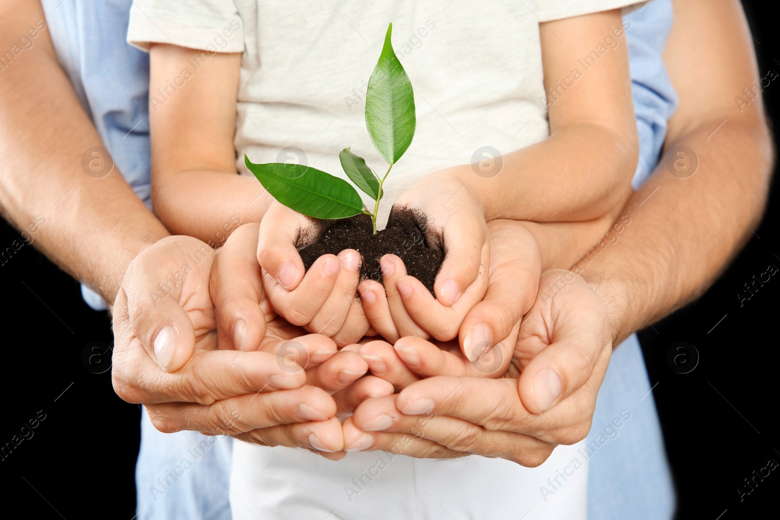 Photo of Family holding soil with green plant in hands on black background