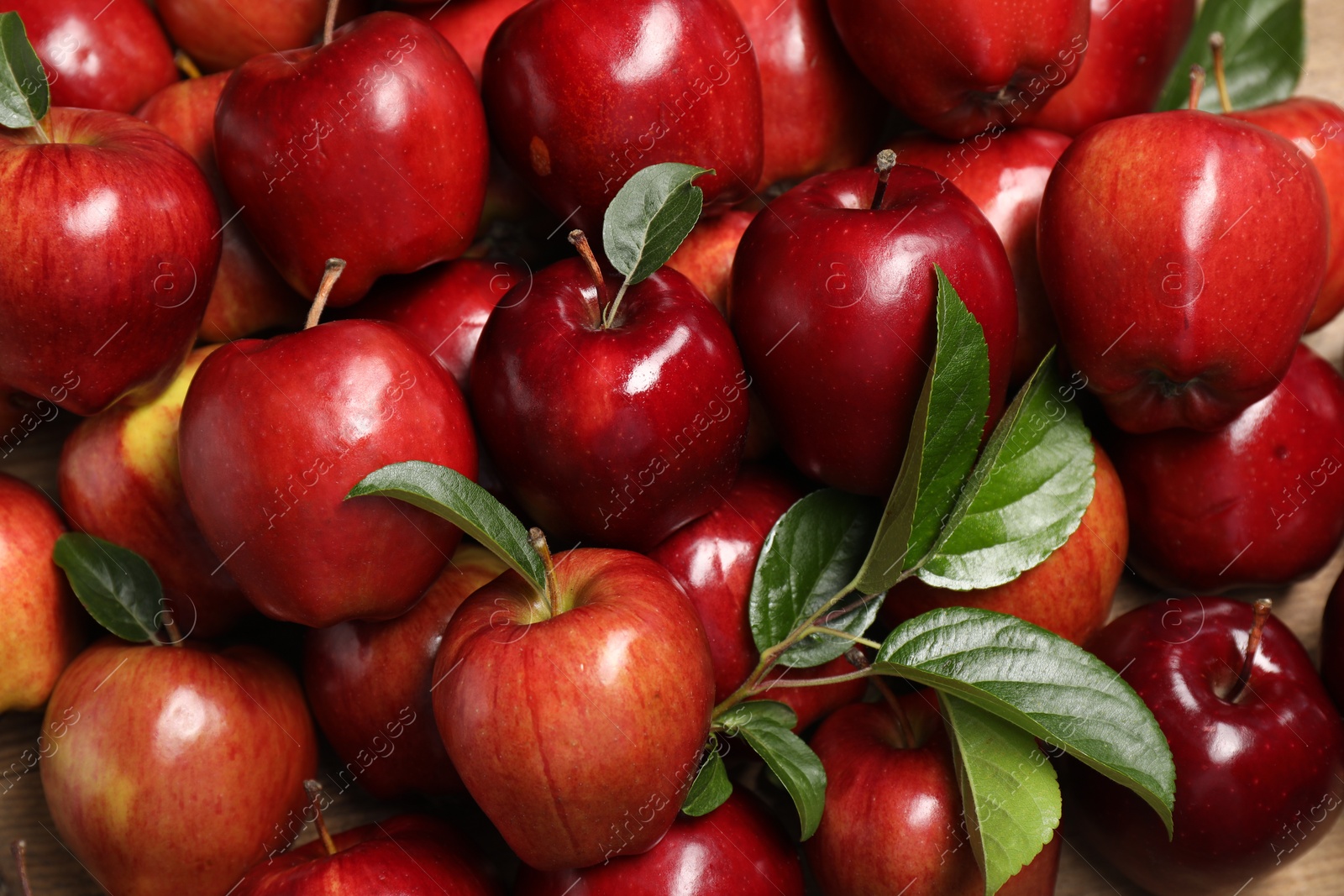 Photo of Fresh ripe red apples with leaves as background, top view