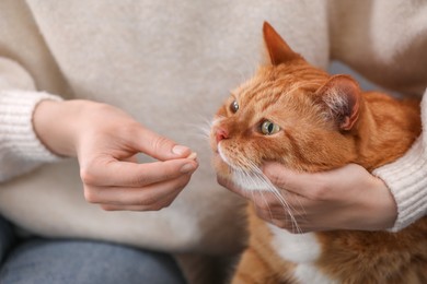 Woman giving vitamin pill to cute cat, closeup