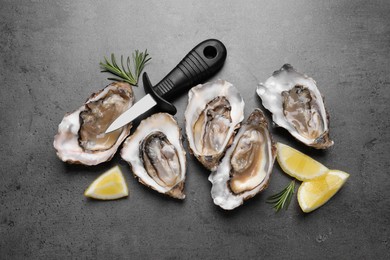 Photo of Fresh oysters with lemon, rosemary and knife on grey table, flat lay