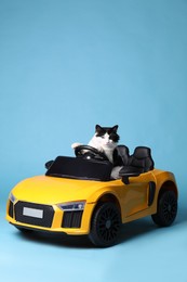 Adorable cat in toy car on light blue background