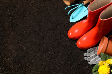 Photo of Composition with gardening equipment and flower on soil, space for text