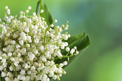 Photo of Beautiful lily of the valley flowers on blurred green background, closeup. Space for text