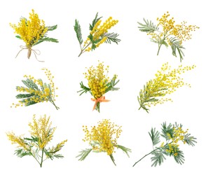 Image of Set with bright yellow mimosa flowers on white background