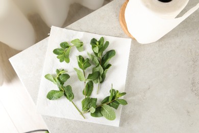 Mint drying on paper towel on light table indoors, top view