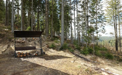 Photo of Metal barbecue with stacked firewood near mountain forest