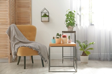 Stylish room interior with beautiful cacti and comfortable chair