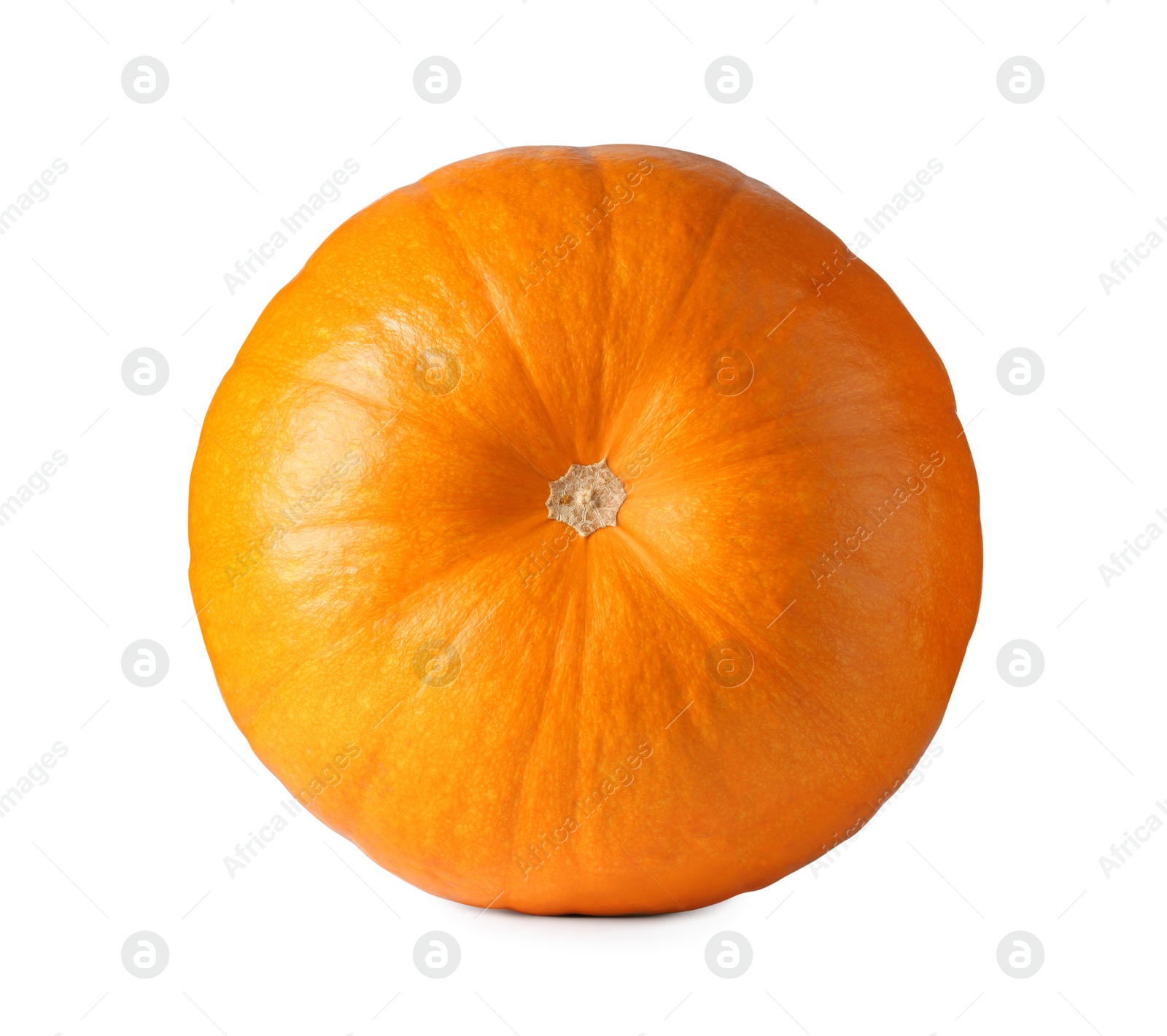 Photo of One fresh orange pumpkin isolated on white