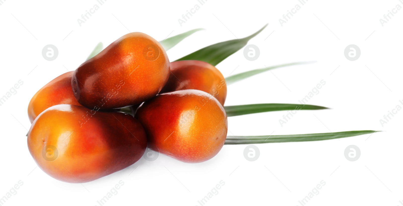 Image of Fresh ripe palm oil fruits on white background. Banner design