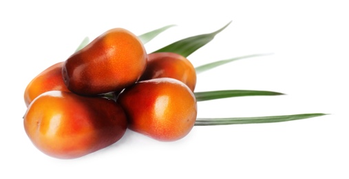 Image of Fresh ripe palm oil fruits on white background. Banner design