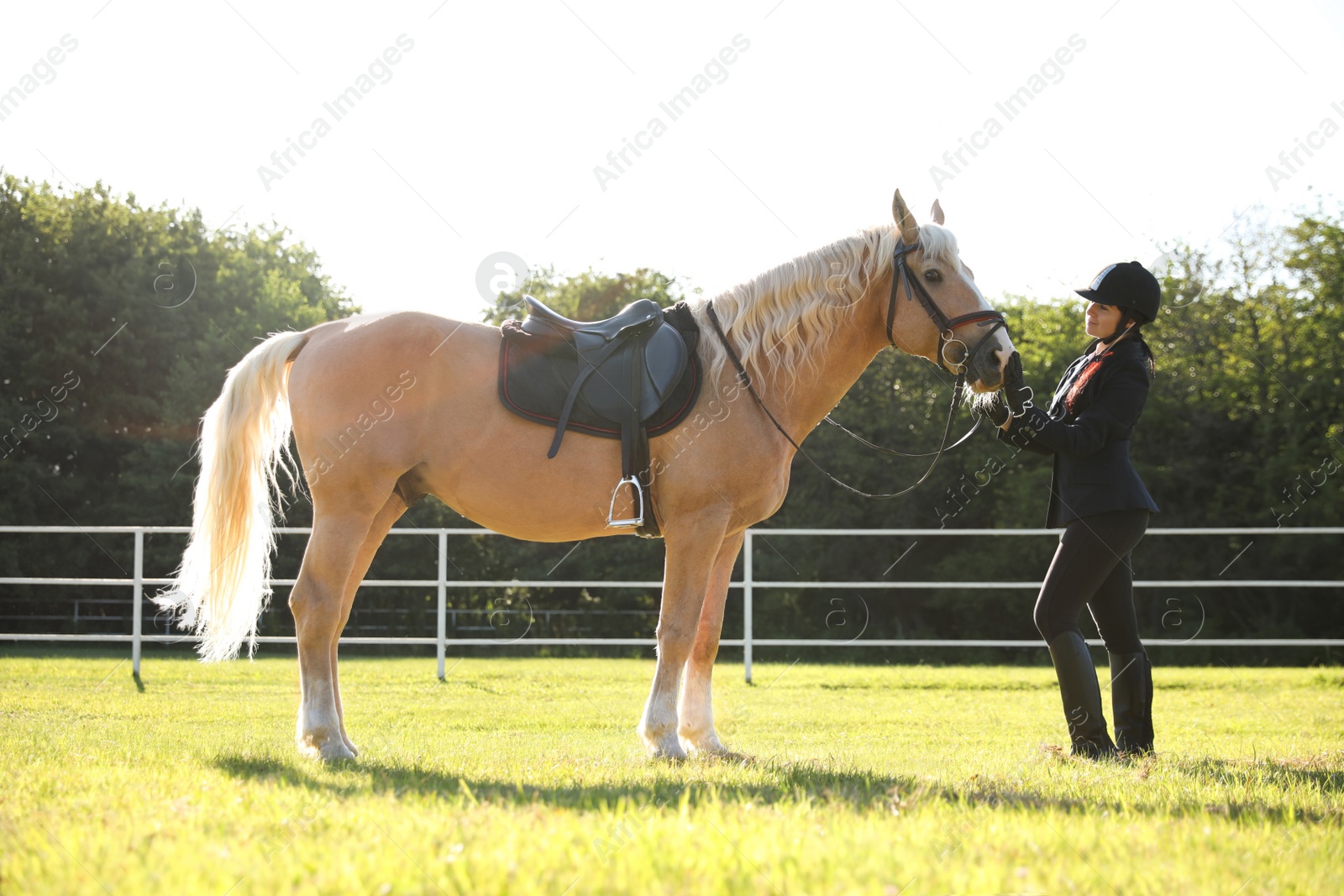 Photo of Young woman in horse riding suit and her beautiful pet outdoors on sunny day