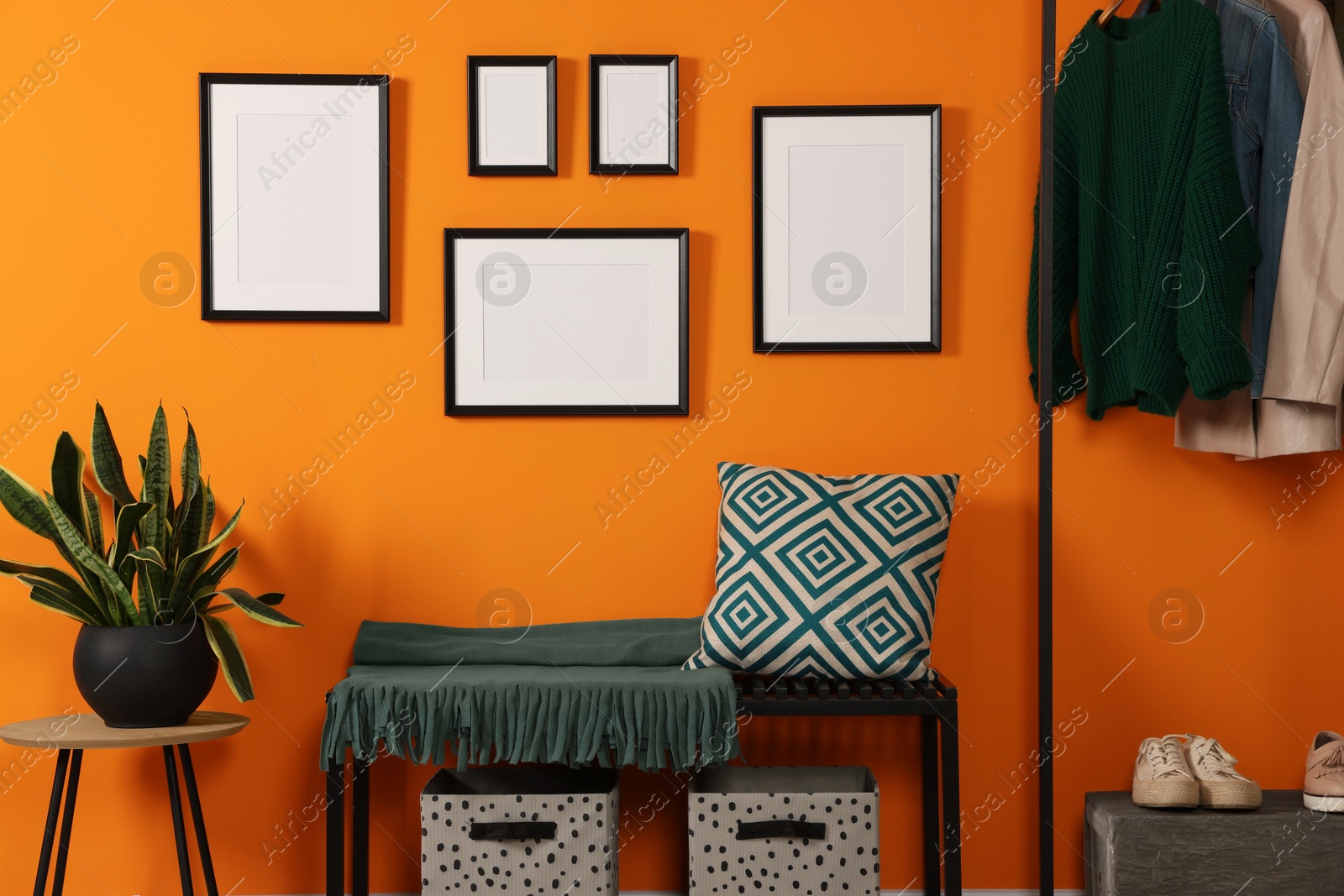 Photo of Empty frames hanging on orange wall in stylish room. Mockup for design