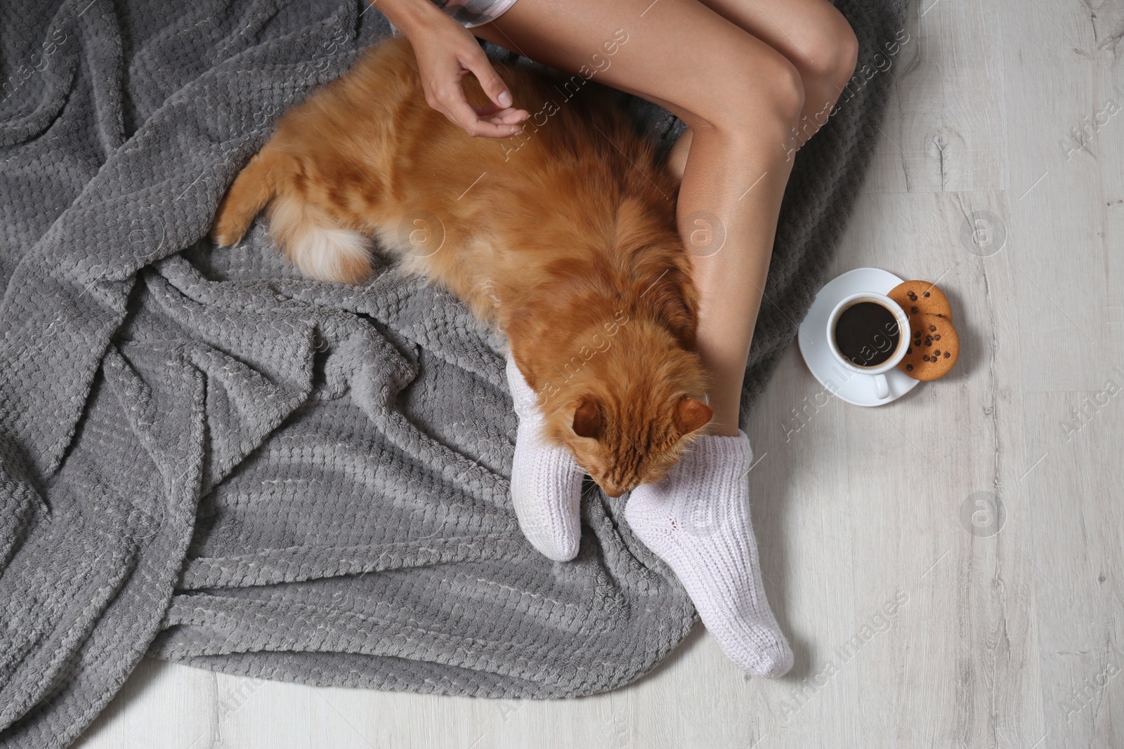 Photo of Woman with cute red cat and coffee on floor, top view