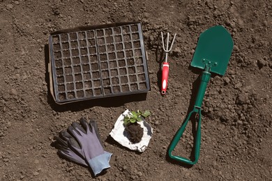 Gardening tools, seed box and strawberry plant on soil, flat lay