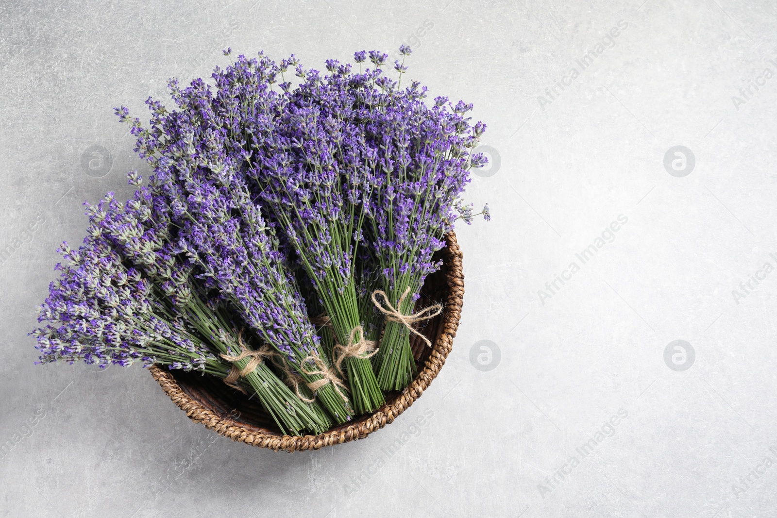 Photo of Fresh lavender flowers in basket on grey stone table, top view. Space for text