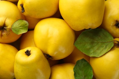 Photo of Tasty ripe quince fruits and leaves as background, top view