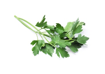 Fresh green organic parsley on white background