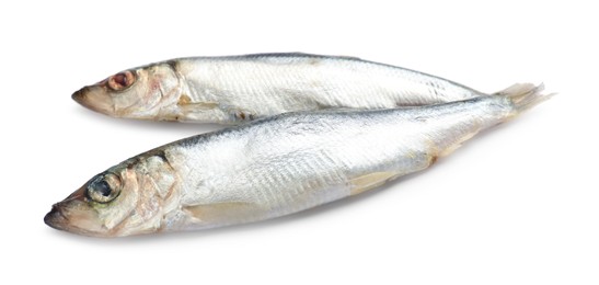 Photo of Fresh raw Baltic sprats isolated on white