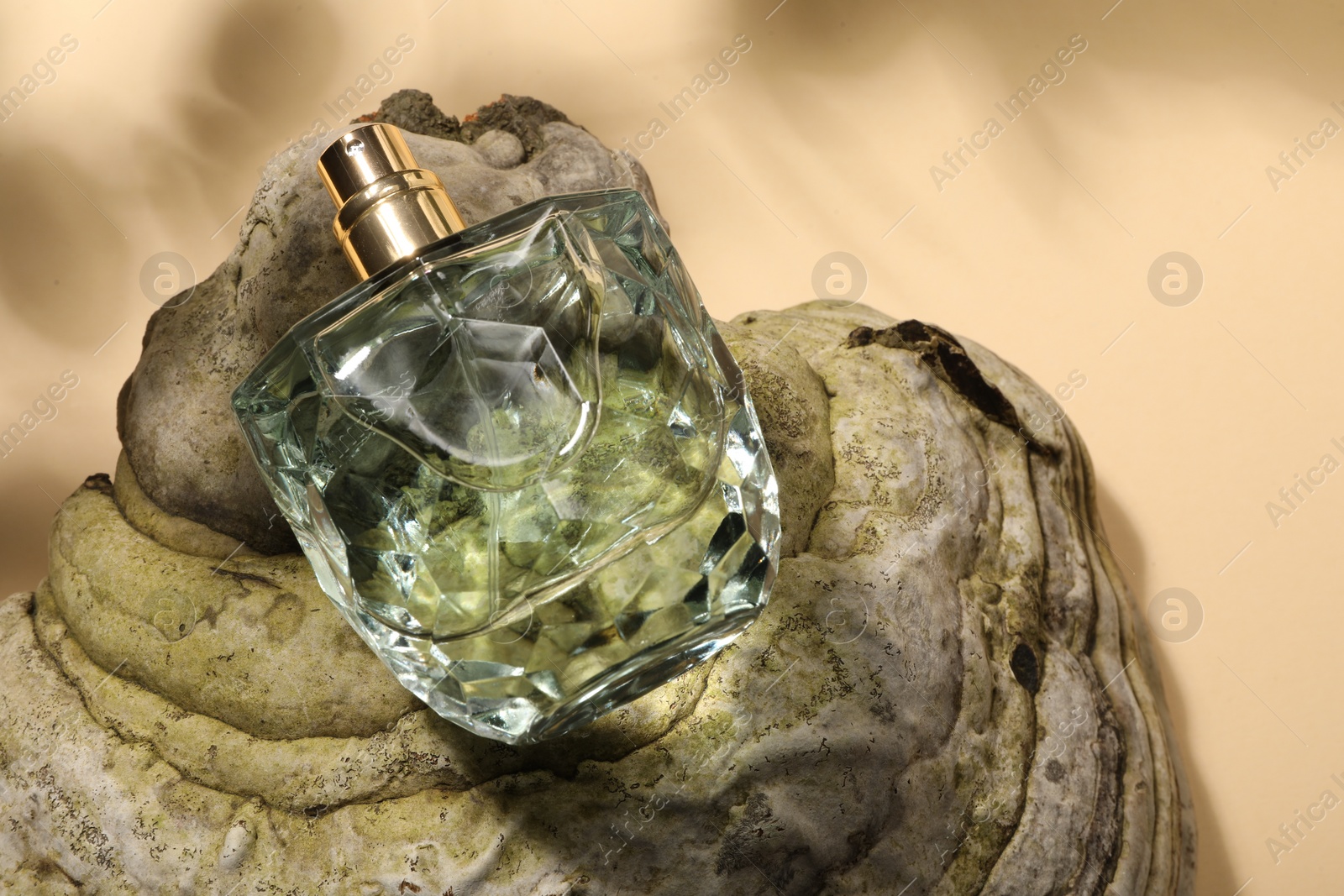 Photo of Luxury perfume in bottle and decorative element on beige background