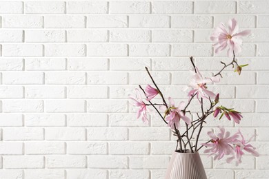 Photo of Magnolia tree branches with beautiful flowers in vase against white brick wall. Space for text