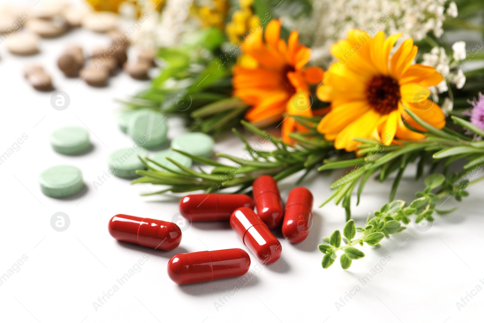 Photo of Different pills, herbs and flowers on white background, closeup. Dietary supplements
