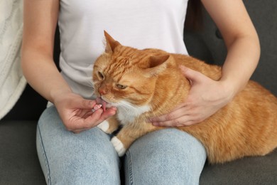 Photo of Woman giving vitamin pill to cute cat on couch indoors, closeup