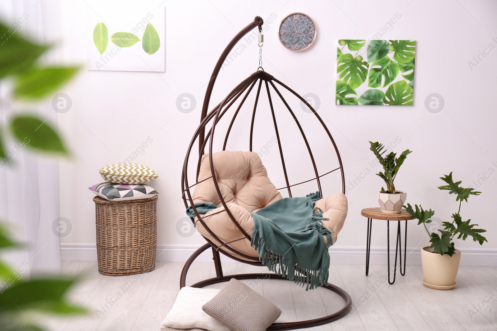 Photo of Tropical plants with green leaves and swing chair in room interior