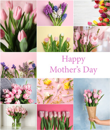 Image of Collage with photos of beautiful flowers and text Happy Mother's Day