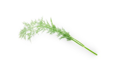 Photo of Sprig of fresh dill isolated on white, top view