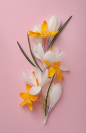 Photo of Beautiful crocus flowers on pink background, flat lay