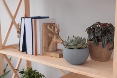 Photo of Beautiful houseplants and books on wooden shelving unit near light wall