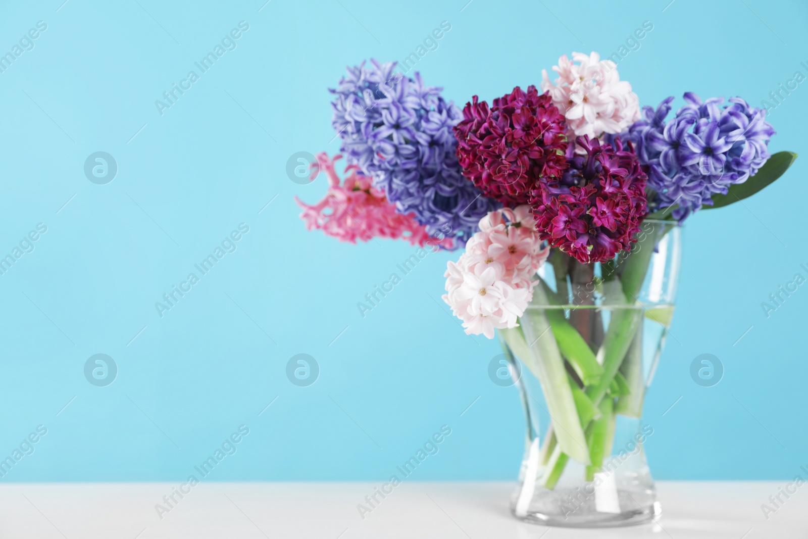 Photo of Beautiful hyacinths in glass vase on table against color background, space for text. Spring flowers