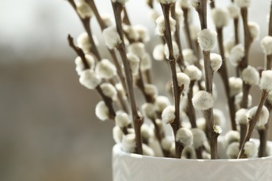 Photo of Beautiful pussy willow branches in vase on blurred background, closeup. Space for text