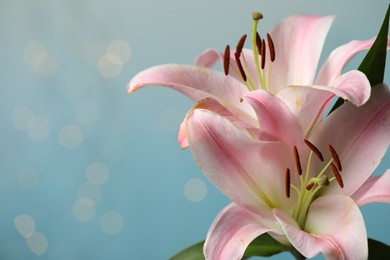Photo of Beautiful pink lily flowers against blurred lights, closeup. Space for text