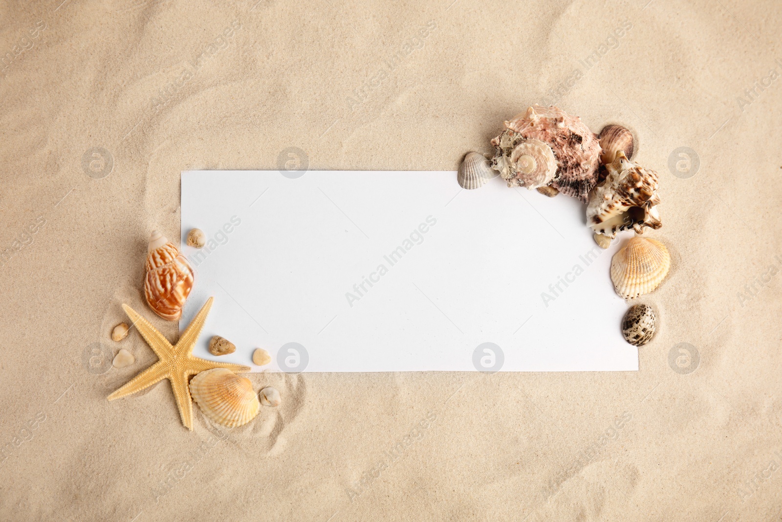 Photo of Flat lay composition with beautiful starfish, sea shells and blank card on sand, space for text