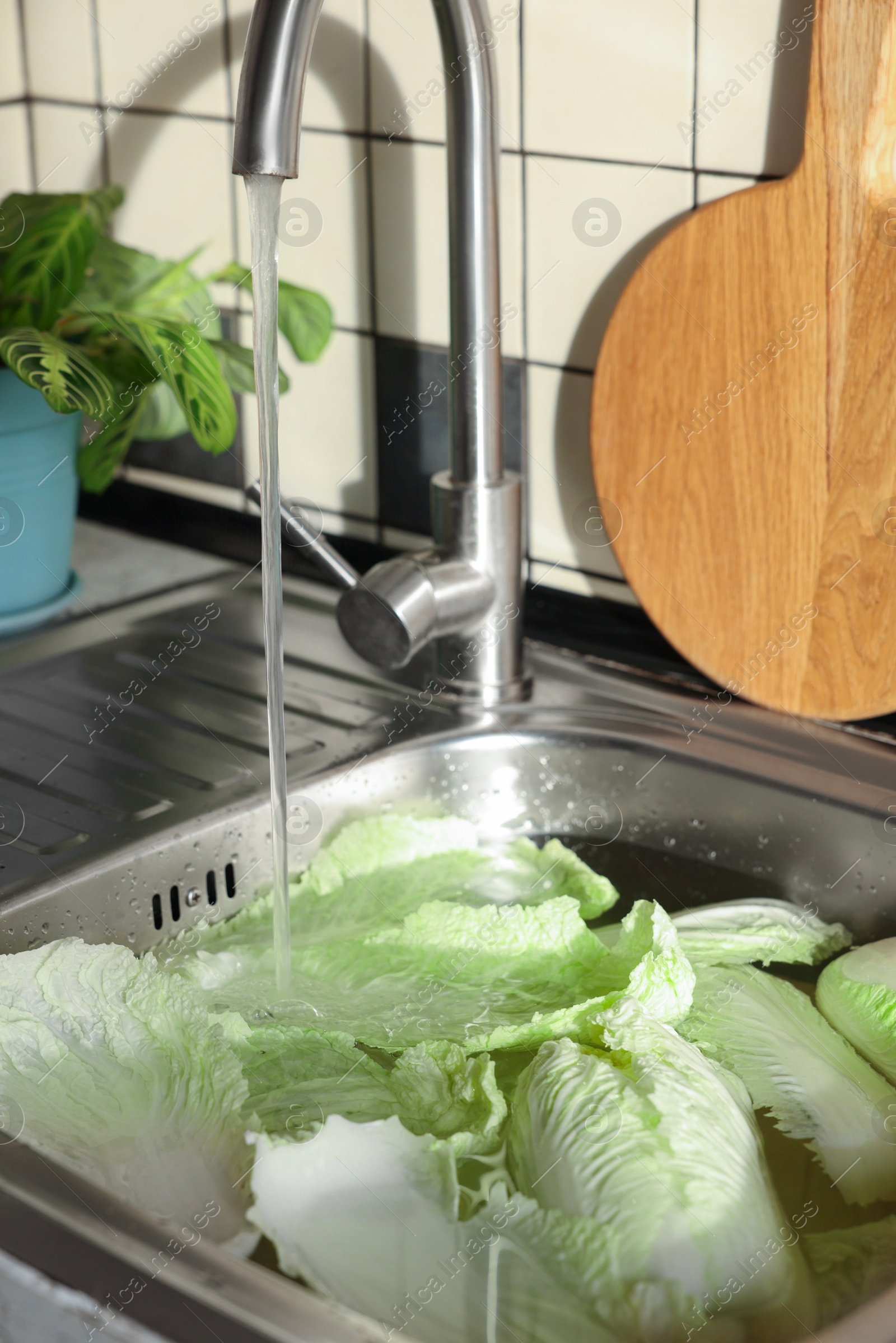 Photo of Pouring tap water on Chinese cabbage leaves in sink