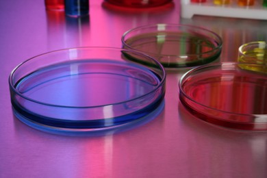 Petri dishes with colorful samples on table