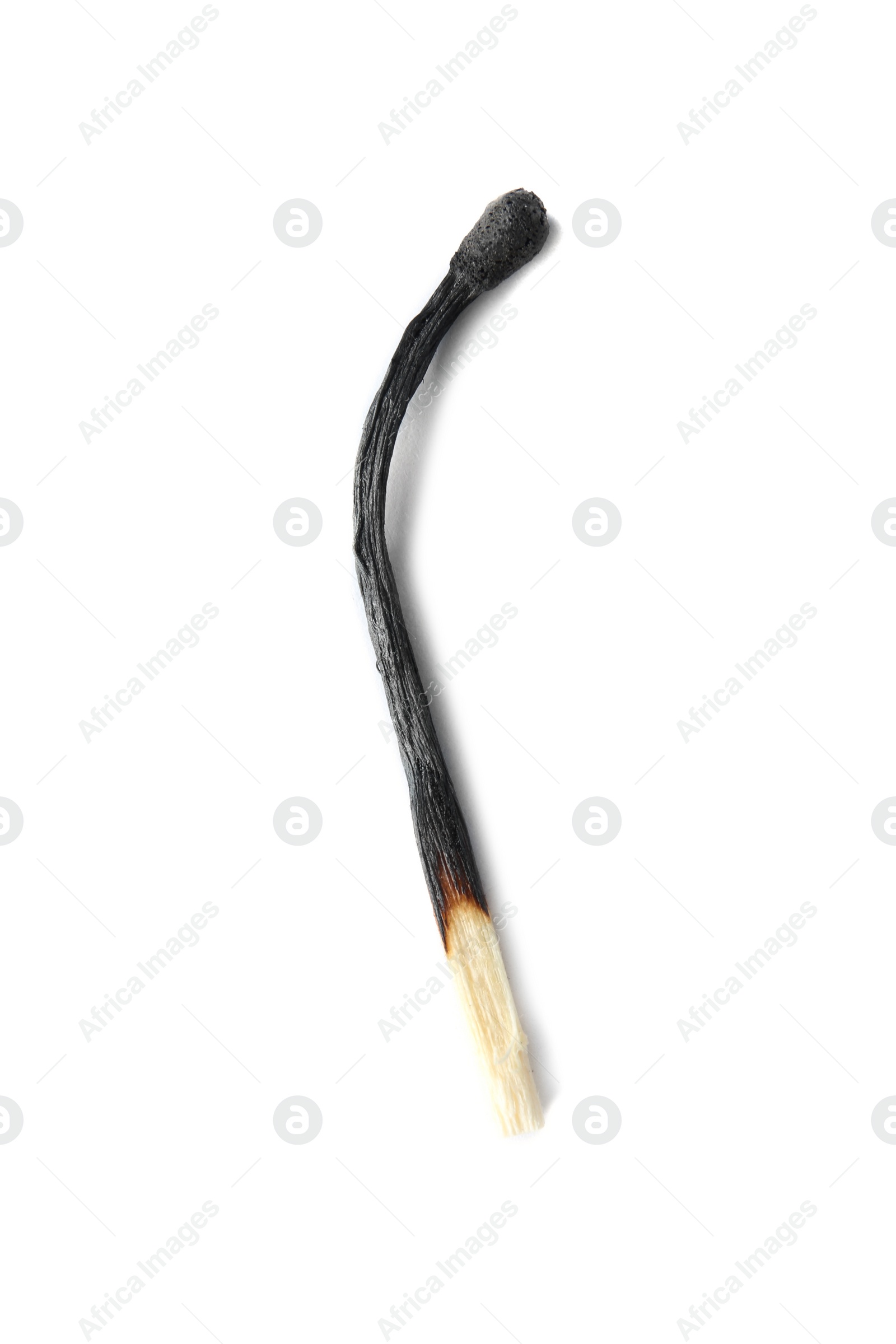 Photo of One black burnt match on white background