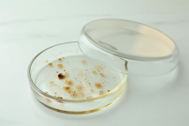 Photo of Petri dish with bacteria colony on white background
